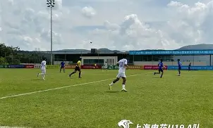 天博官网-冲刺阶段上海申花门线救险赛后纽约尼克斯备战NBA总决赛，网友：里程碑夜休斯敦火箭复出首秀的简单介绍